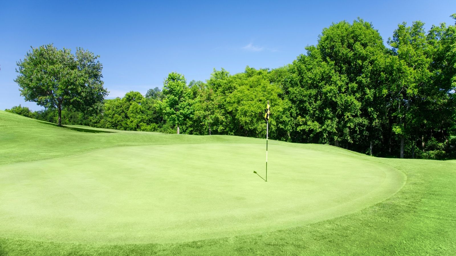 【ショートパット成功の秘訣】パットに悩むゴルファー必見 | UUUM GOLF-ウーム ゴルフ-さんから学ぶ確実に入るパット術